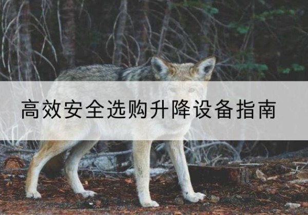 海丰升降货梯厂家推荐-*安全选购升降设备指南