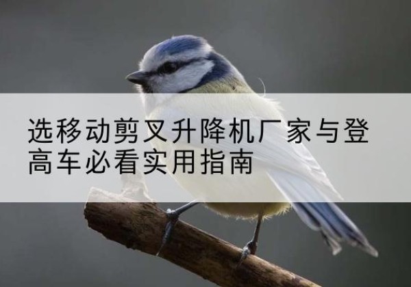 海丰电动升降机厂家-选移动剪叉升降机厂家与登高车必看实用指南