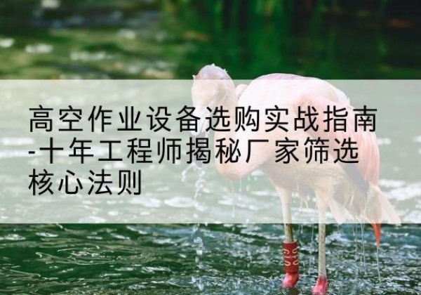 海丰剪叉式升降机厂家-高空作业设备选购实战指南-十年工程师揭秘厂家筛选核心法则